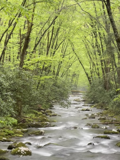 Great Smoky Mountains National Park 