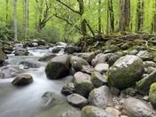 Great Smoky Mountains National Park 
