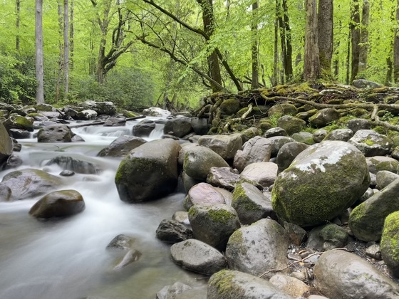 Great Smoky Mountains National Park 