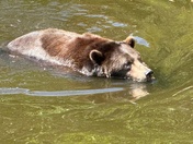 Sitka National Historical Park