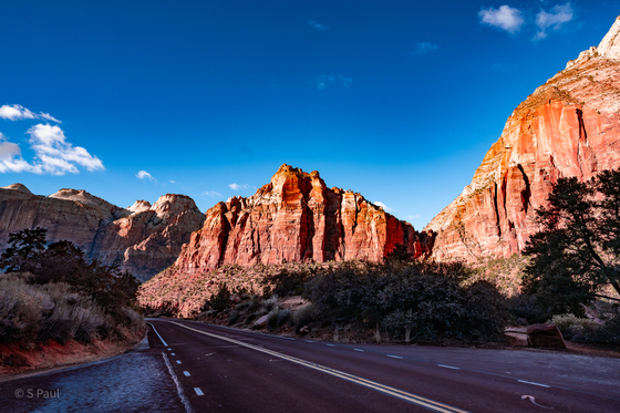 Zion National Park Site