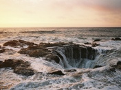 Cape Perpetua Scenic Area