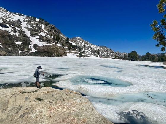 Humboldt-Toiyabe National Forest