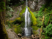 Olympic National Park