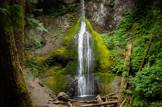 Olympic National Park