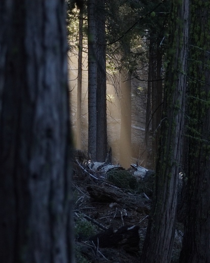 Yosemite National Park