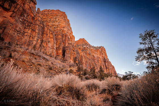 Zion National Park 
