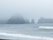 Olympic National Park