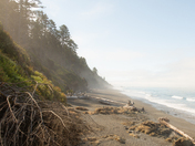 Olympic National Park