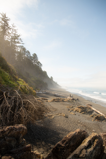 Olympic National Park