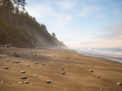 Olympic National Park