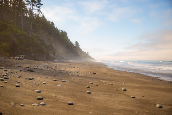 Olympic National Park