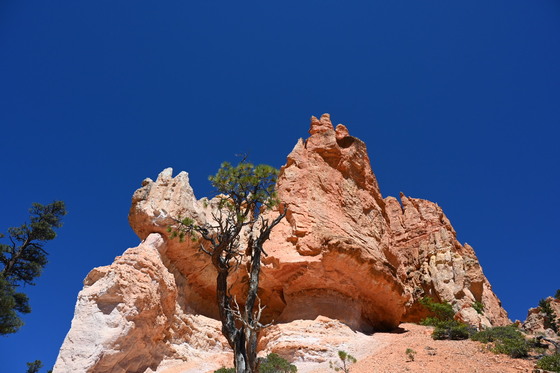 Bryce Canyon National Park