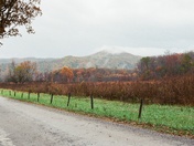 Great Smoky Mountains National Park