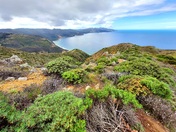 Channel Islands National Park