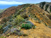 Channel Islands National Park