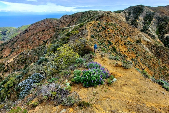 Channel Islands National Park