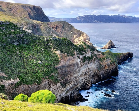 Channel Islands National Park