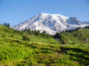 Mount Rainier National Park