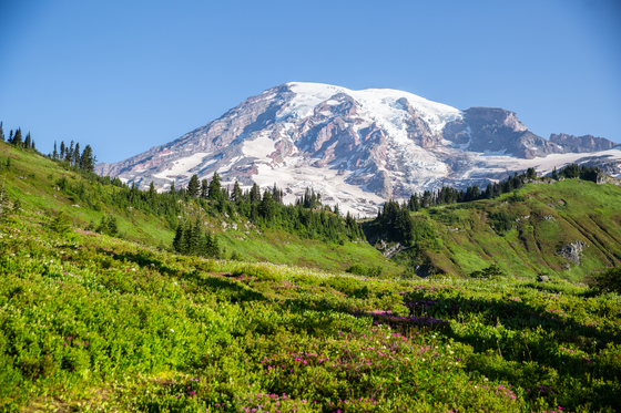 Mount Rainier National Park