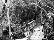 Everglades National Park