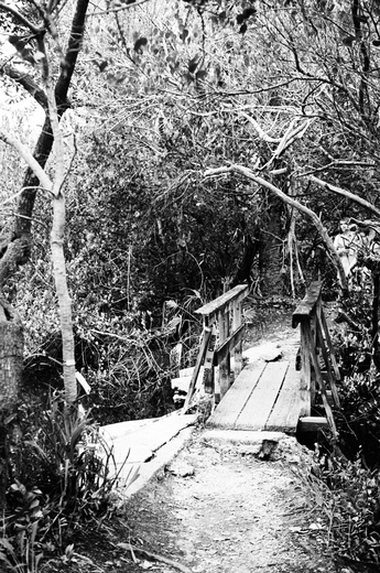 Everglades National Park