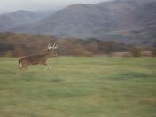 Great Smokey Mountains National Park