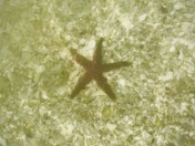 Ten Thousand Islands National Wildlife Refuge