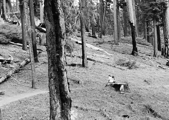 Yosemite National Park
