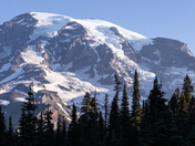 Mount Rainier National Park