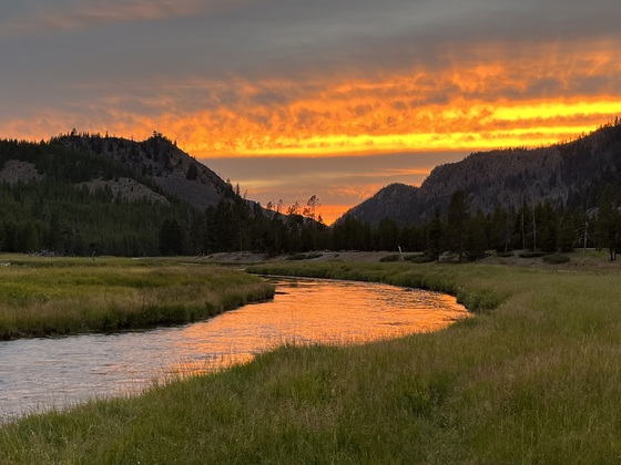 Yellowstone National Park