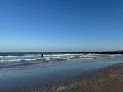 Padre Island National Seashore