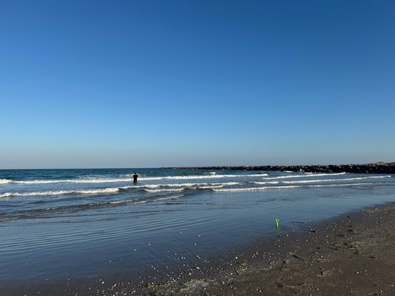 Padre Island National Seashore