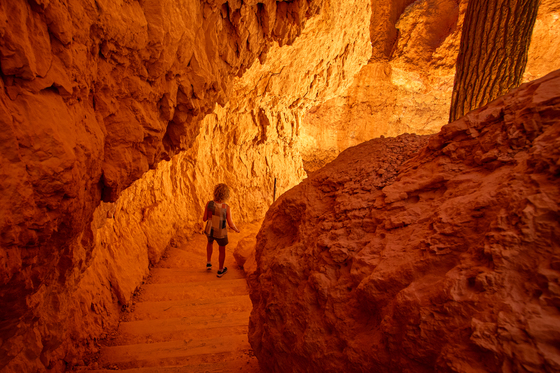 Bryce Canyon National Park