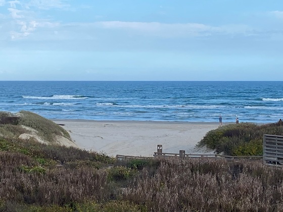 Padre Island National Seashore