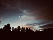 Humboldt-Toiyabe National Forest