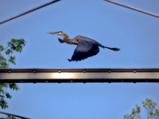 Cuyahoga Valley National Park
