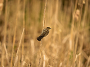 Cuyahoga Valley National Park
