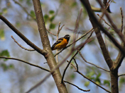 Cuyahoga Valley National Park