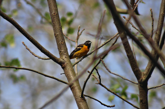 Cuyahoga Valley National Park