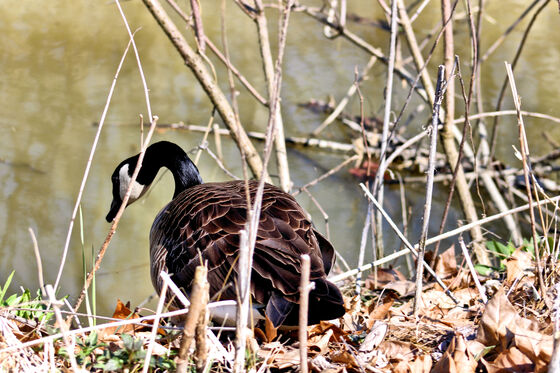 Cuyahoga Valley National Park