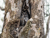 Cuyahoga Valley National Park