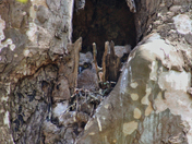 Cuyahoga Valley National Park