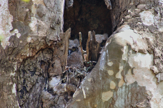 Cuyahoga Valley National Park