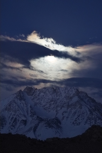 Inyo National Forest