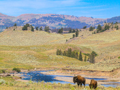 Yellowstone National Park