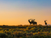 Grand Teton National Park