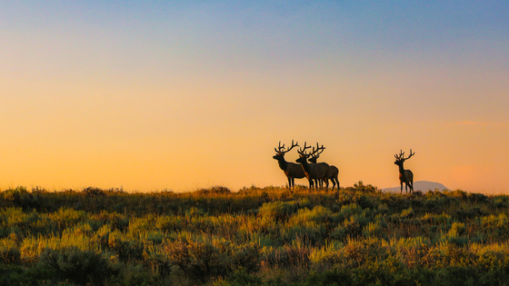 Grand Teton National Park