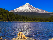 Mt. Hood National Forest