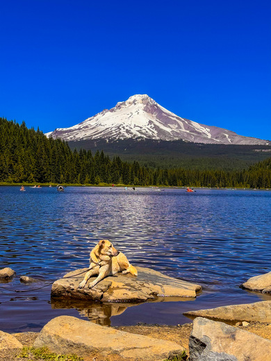 Mt. Hood National Forest